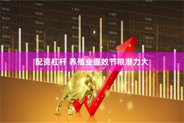 配资杠杆 养殖业提效节粮潜力大